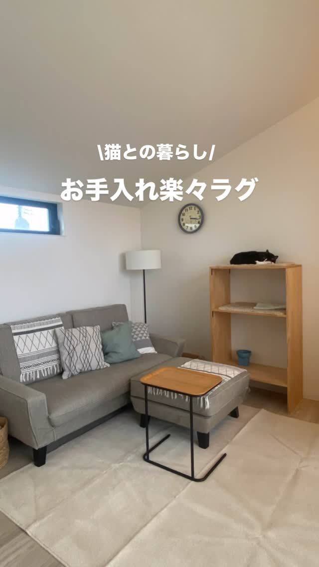 お手入れ楽々ラグへ交換！

リビングのラグ
猫も人もまったり寝っ転がったり
皆んなのお気に入り

よくいるからこそ
吐いたり、粗相されたり！
コーヒーこぼしたり！
色々汚しながらも洗濯しながら数年

さすがに買い替え時かなと
色々検討数ヶ月！

お手入れ楽々だという
撥水・防汚・防ダニ加工
遊び毛も出にくいペットにも優しく
洗濯ももちろんOKなラグに

広げてみるとさっぱりした触り心地
折り目を掃除機で伸ばしながら
早速、風太が一番乗りで確認！

新品の匂いが気になり
踏み心地も気になり
空は寄って来ず😅

華は夫が寝っ転がったらOKに☺️

風太はなんか気になり！
ラグを踏まずにソファまでひとっ飛び😂

慣れるまでしばらく様子見ですが
吐いたりしても拭き取りやすそうで
なんと言っても新しいラグは
やっぱり気持ち良いです✨

#猫との生活 
#リビング 
#ラク 
#猫とインテリア 
#心地よい暮らし
