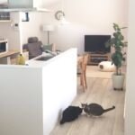 伊藤美佳代|猫との心地よい暮らしを叶える|整理収納・照明アドバイザー